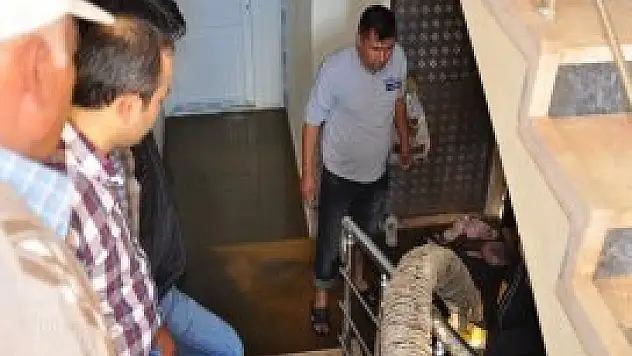 Evi lağım suyu bastı