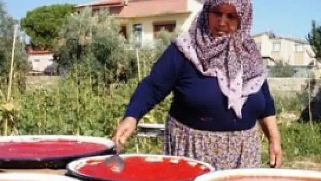 Konserveler tamamlanıyor