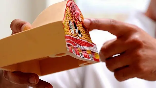 Gebelik ve emzirme meme kanserinden koruyor