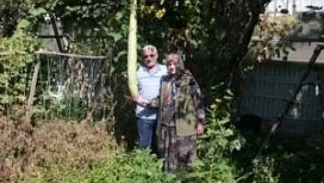 2 metre 20 santimetre boyunda kabak