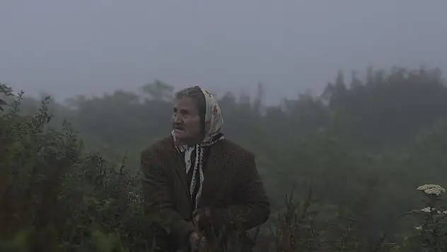 'Kalandar Soğuğu' Amerika yolcusu