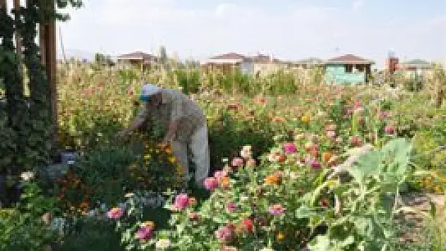 Hobi Bahçelerinde Stres Atıyorlar