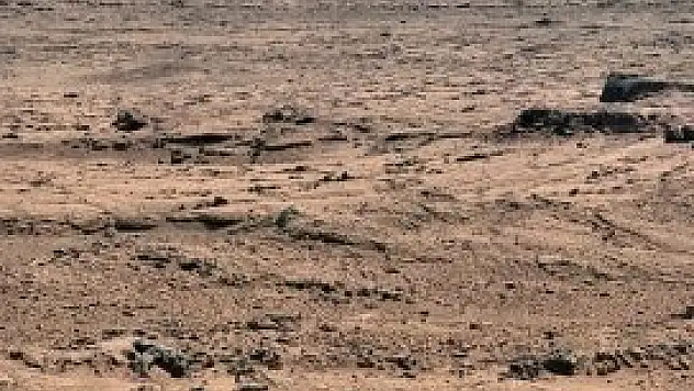 Çin uzayda bitki yetiştirecek