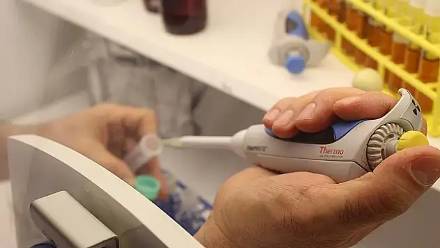 Tazmanya canavarının sütü 'süper bakterilere' karşı silah olabilir