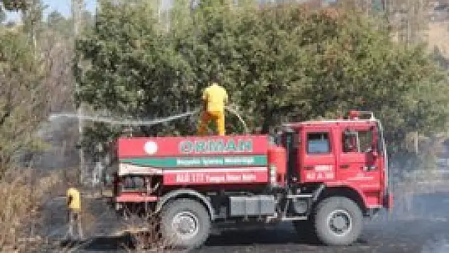 Yangın, ormana sıçramadan söndürüldü