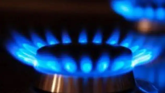 Gaz fiyatlarını Türkiye belirleyecek