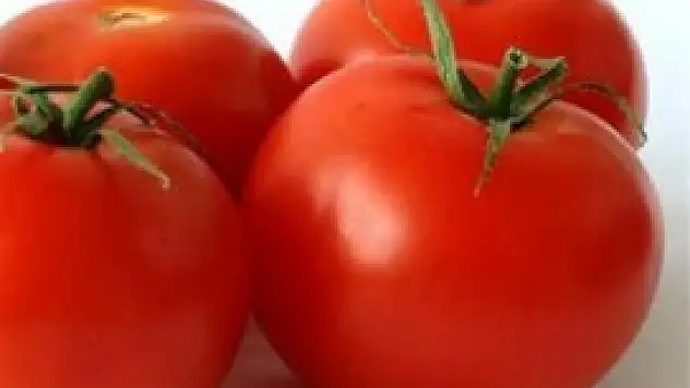 Domatese AB'den iade-i itibar