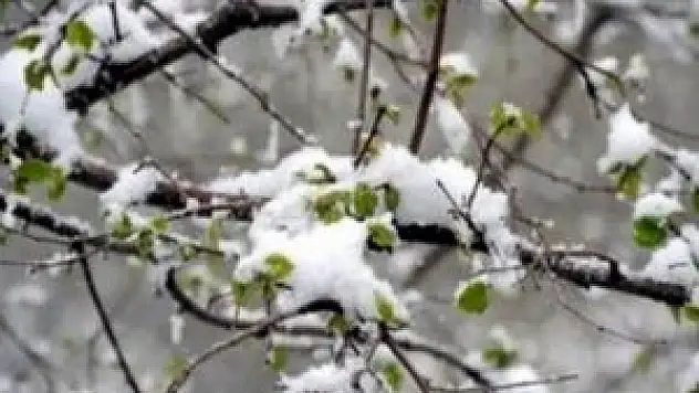 Konya ve çevresi için zirai don  uyarısı!