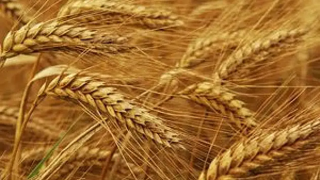 Konya Ticaret Borsası