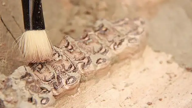 '2020'de 3'te 2'si yok olabilir'