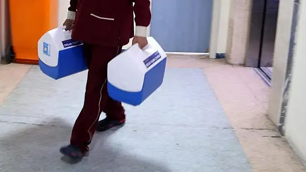 Organ naklinde uluslararası işbirliği için düğmeye basılıyor