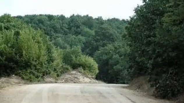 Beyşehir'de yeni orman yolları açılıyor