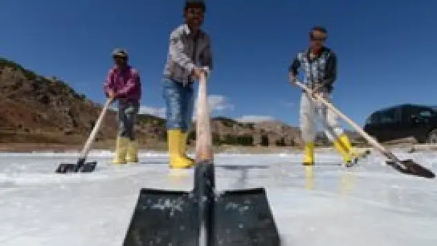 İki katı kargo ücretine razılar!