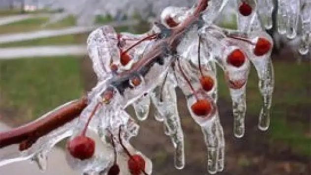 Konya ve çevresi için zirai don uyarısı