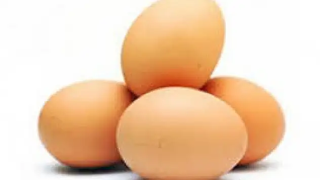 Türkiye, dünyaya yumurta yediriyor