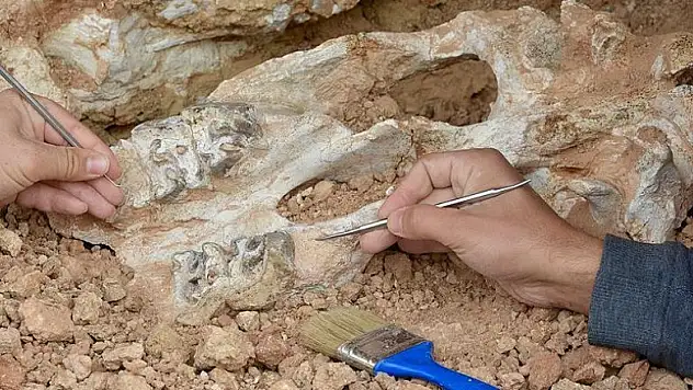 Anadolu doğa tarihi dünyanın gündeminde