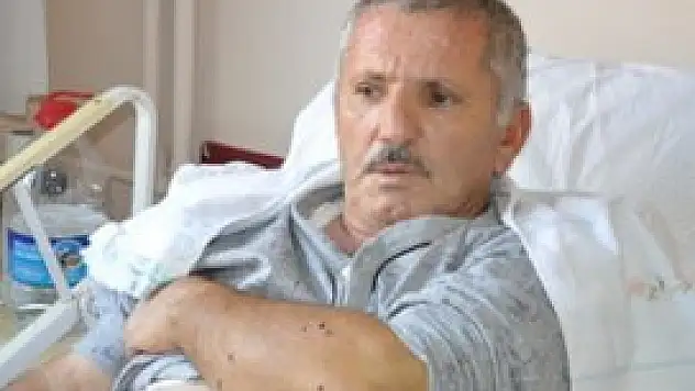 Konya'da 3 kişinin öldürülmesi