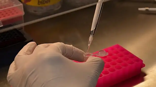 Türkiye kendi aşısını üretmeye hazırlanıyor