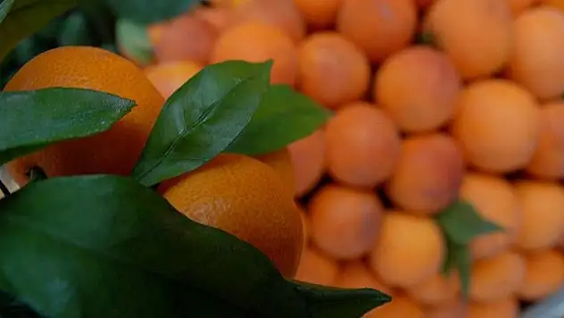 'C vitaminini tabletlerden değil, gıdalardan alın'