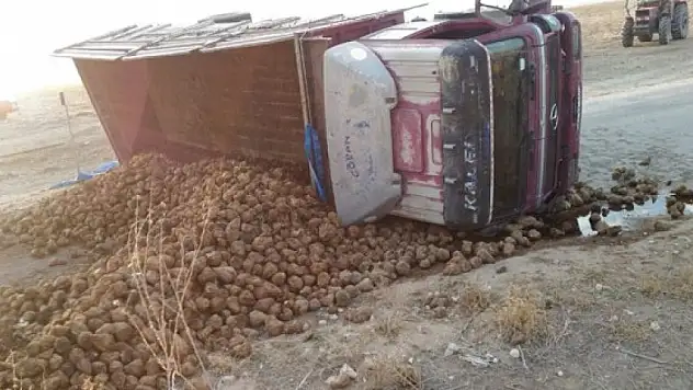Yunak'ta pancar yüklü kamyon devrildi