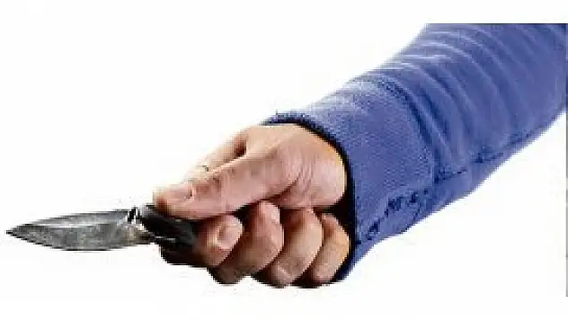 Cinnet geçiren anne iki çocuğunu öldürdü