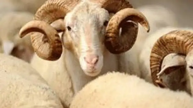 Konya'da bayram için güvenlik tedbirleri