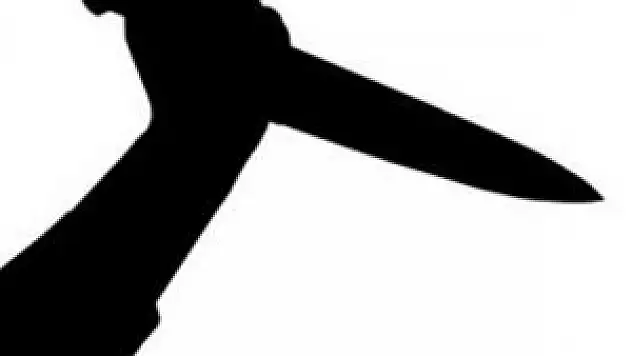 Liseli kız kavgası kanlı bitti