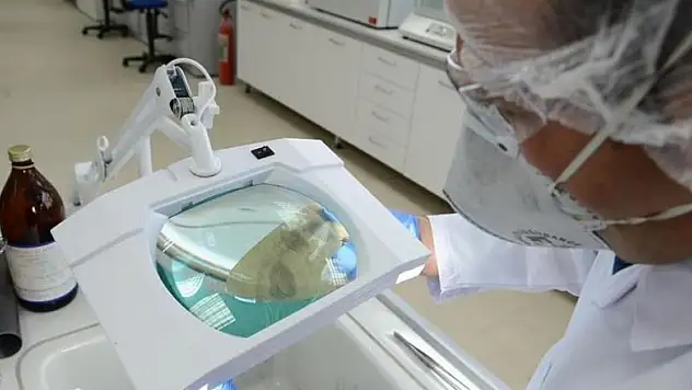 Çin'de yeni RNA virüs türleri keşfedildi