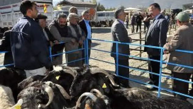 Bölgenin en büyük hayvan pazarı