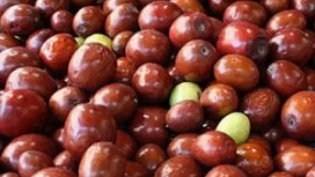 100 kat fazla C vitamini onda