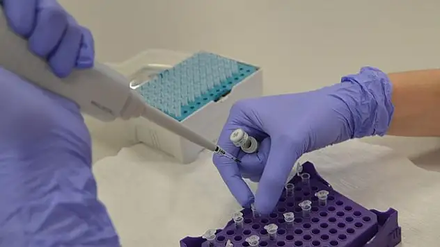 Akciğer kanserine karşı yerli genetik tanı kiti üretildi