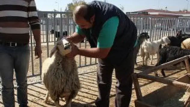 Karatay'da kurbanlıklar denetlendi