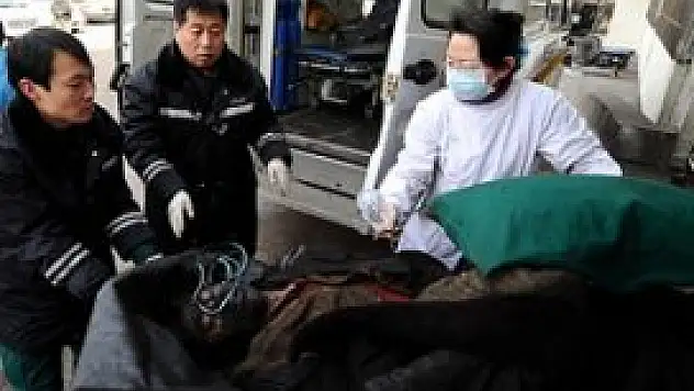 Çin ve Vietnam'da patlamalar