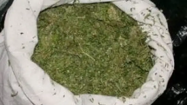 Konya'da 20 kilo esrar ele geçirildi