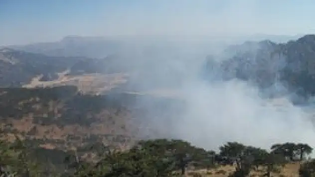 Konya'da orman yangını