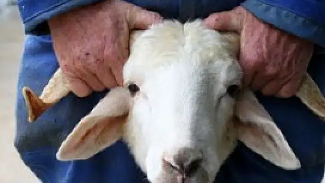 Aceleyle kendinizi kurban etmeyin