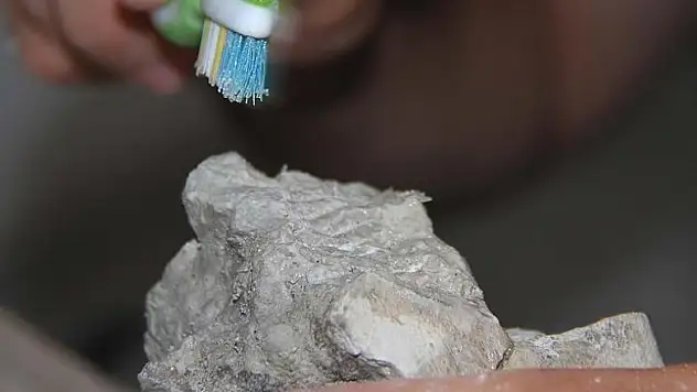 Bilim adamları 255 milyon yıllık fosilde ur buldu