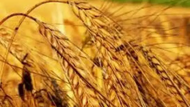 Tahıl ambarı Konya liderliği bırakmadı