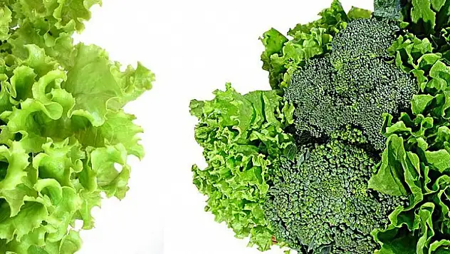 Beslenme tarzı zekayı koruyor