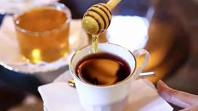 Prof. Dr. Yeşilada: Bitki çayları bilinçli tüketilmeli