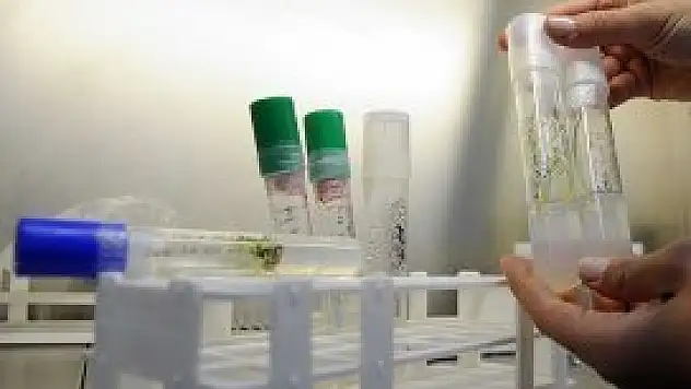 Çin'in Ar-Ge bütçesi 164 milyar dolara ulaştı