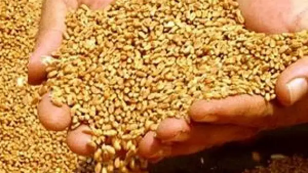 Konya'da hububat fiyatları