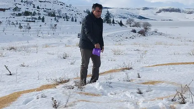 Ilgın'da kuş ve yaban hayvanları unutulmadı