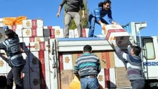 Çuvalların arasında 250 bin paket sigara çıktı