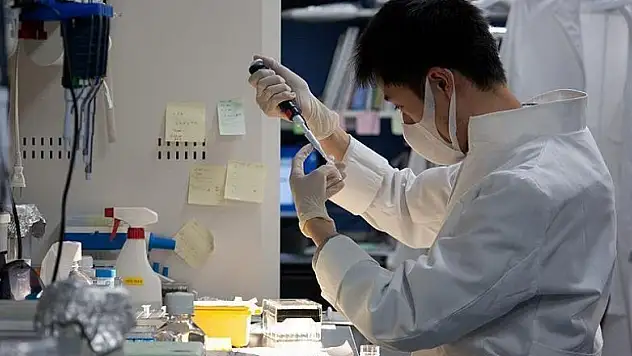 Kanser tedavisinde yeni umut