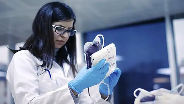 Kanın hayat veren 'zorlu yolculuğu'