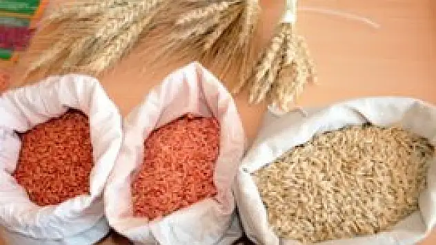 Türkiye'nin tohumu Konya'da üretiliyor