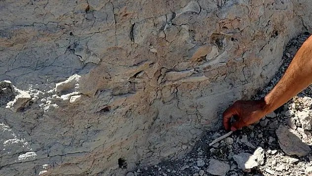 Kuzey Amerika'da ilk insanlar 24 bin yıl önce yaşadı