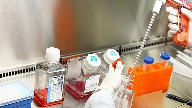 Genetik haritamızı çıkaracak ilk ekip ABD yolcusu