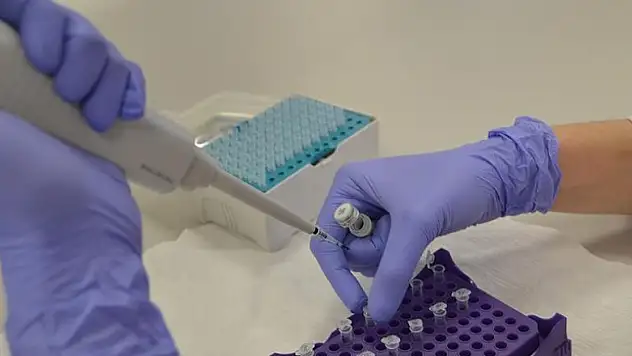 Bilim adamları 'yarı-sentetik' organizma geliştirdi